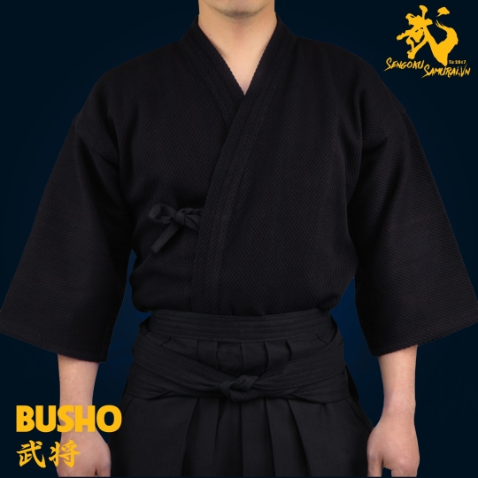 BUSHO-GI (Áo) |  Aizome Kendogi 2 Lớp 